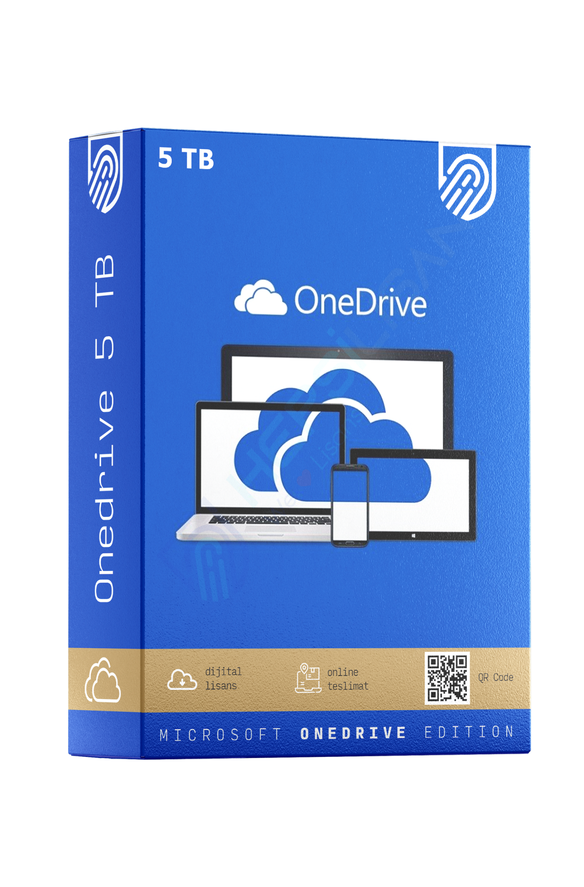 Onedrive 5 TB - Hepsilisans