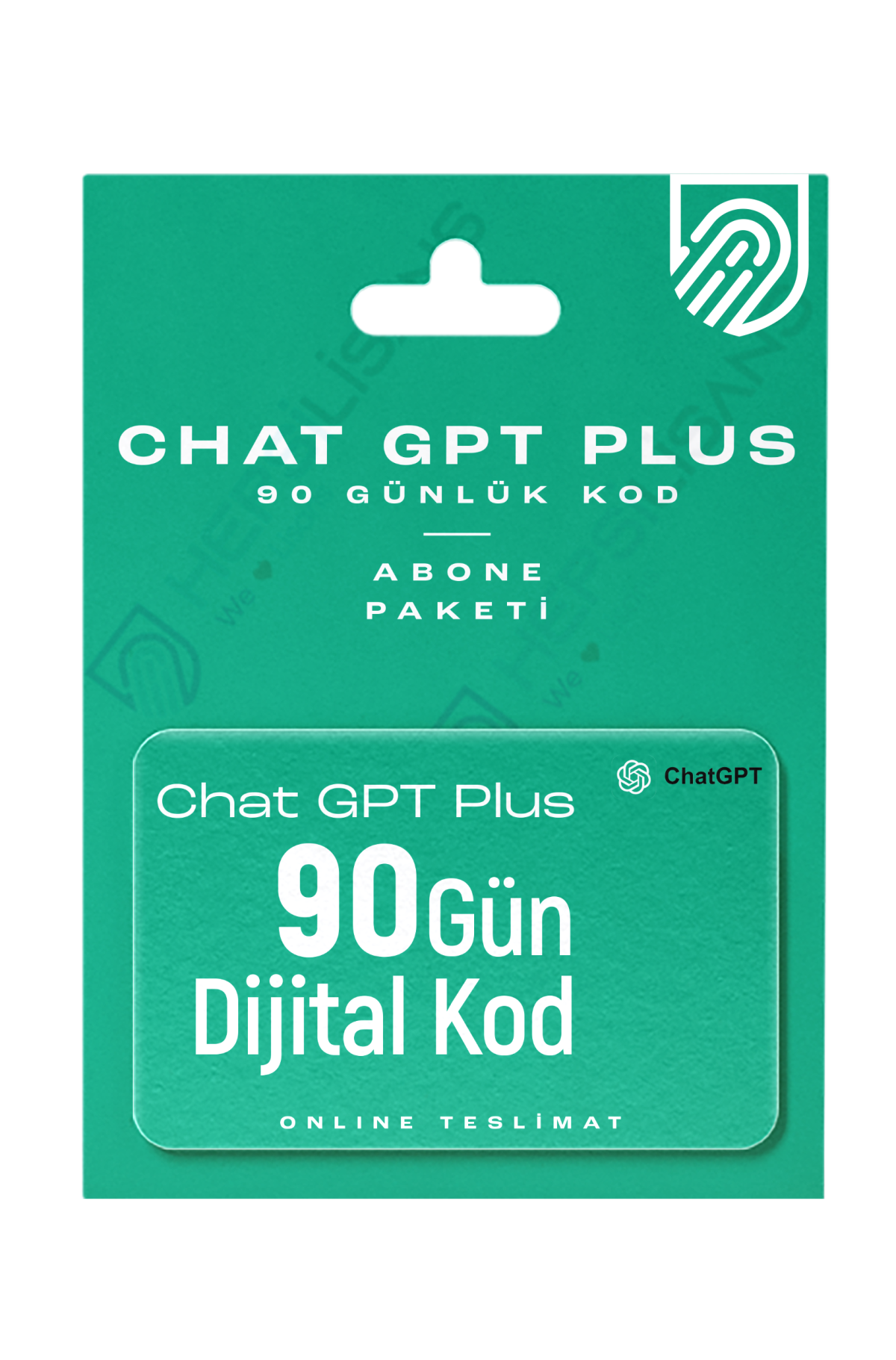 Chat GPT Plus Hepsilisans