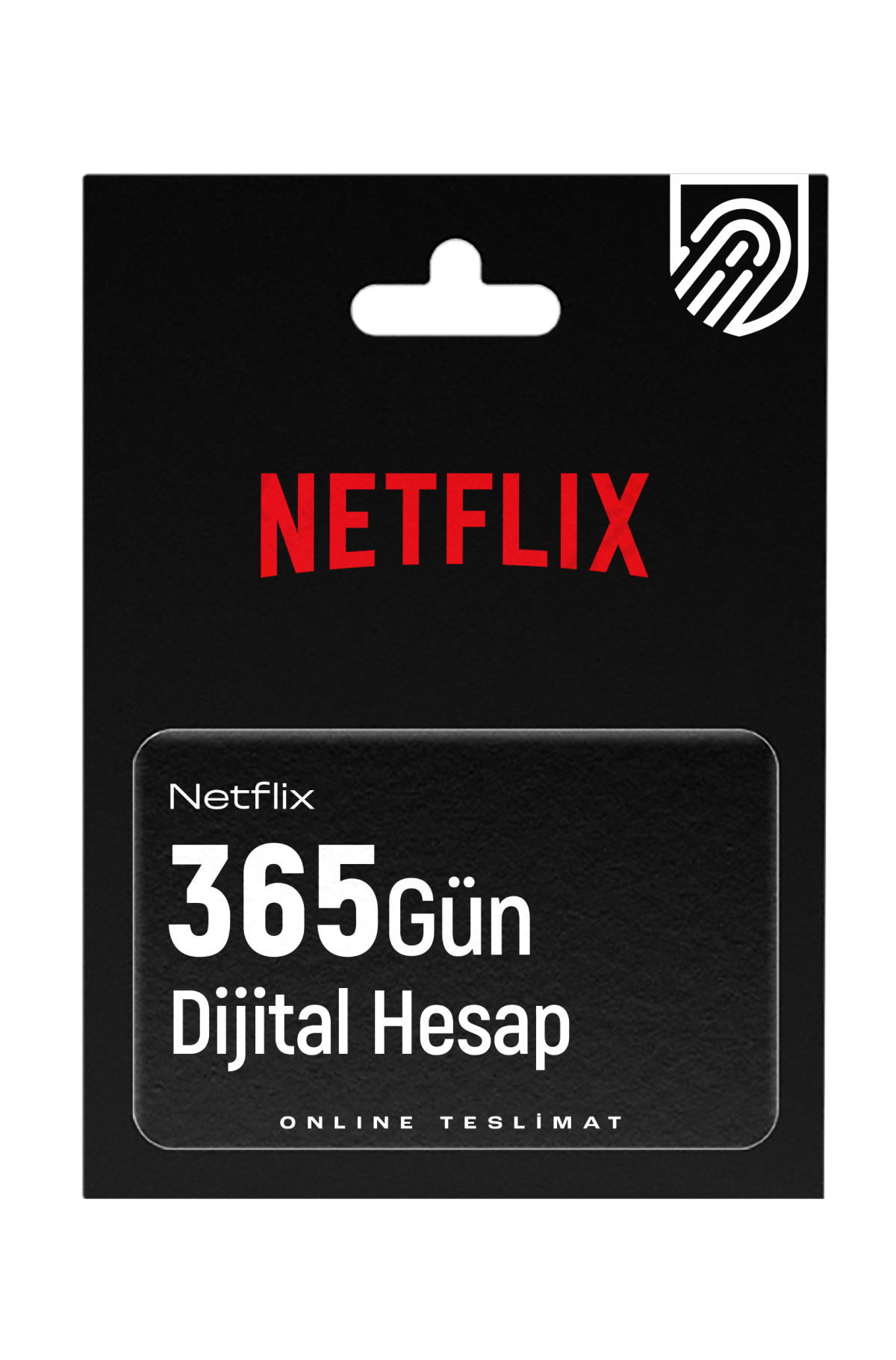 Netflix 1 Yıl - Hepsilisans