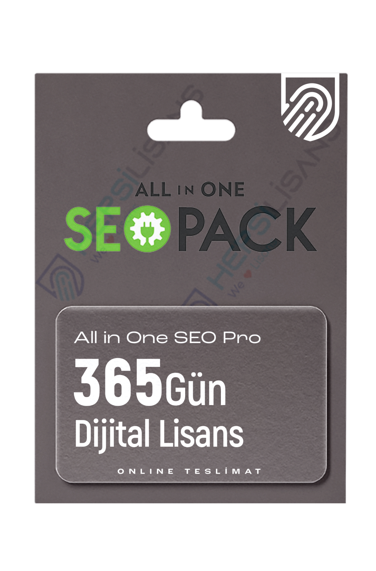 All In One Seo Pro - Hepsilisans