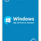 Hepsilisans Windows SQL Server Standart 2019