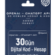 OpenAI – ChatGPT API Hepsilisans